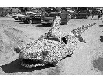 auto59.jpg
