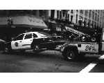 auto7.jpg