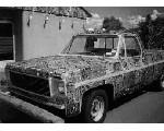 auto74.jpg