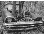 auto84.jpg