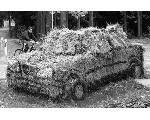 auto9.jpg