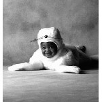 baby6.jpg
