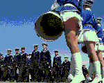 013.gif