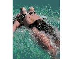 015.gif
