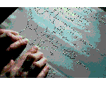 016.gif