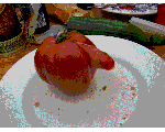 017.gif