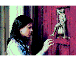 027.gif