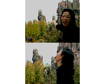 028.gif