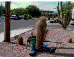 030.gif