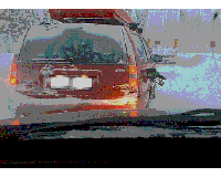 tahoewoman1.gif