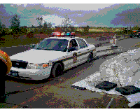 womancop5.gif