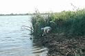 kotras_a_kuki_vizibazison124