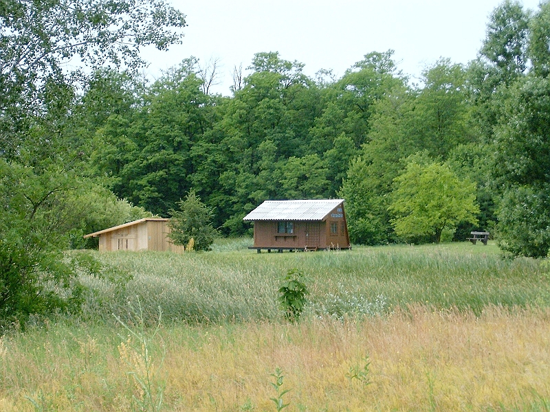 20100613.010.jpg