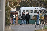 (18.) IMG_5951.JPG