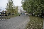 (50.) 10g6.jpg