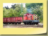 M44 431, Dunakeszi, 2009.V.13.