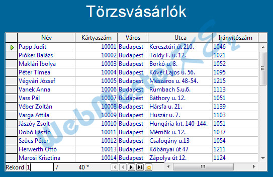 Az elkészült Törzs űrlap