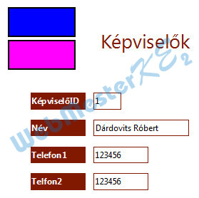Az elkészült Képviselő űrlap