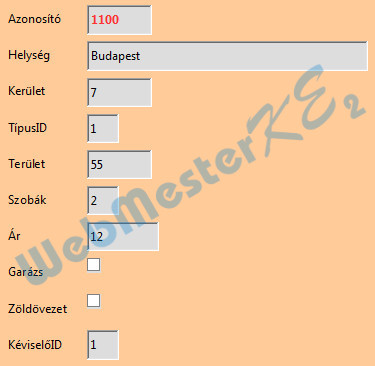 Az elkészült Ingatlan űrlap