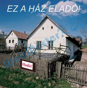 eladohaz