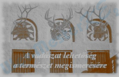 Vadászház - régi