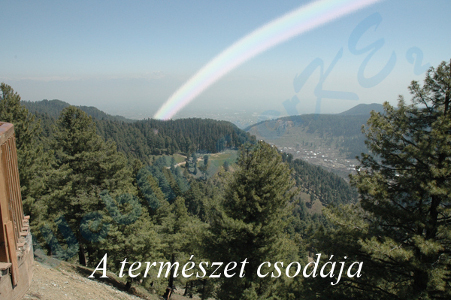 szivarvany.jpg