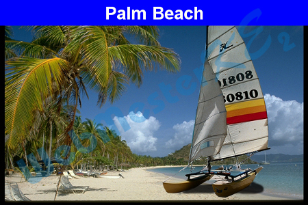 palmbeach.jpg