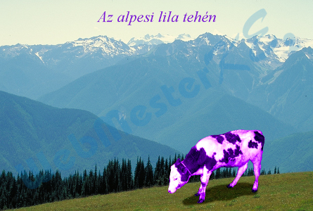 lilatehen.jpg