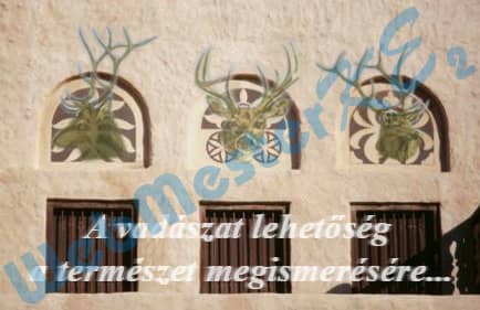 Vadászház