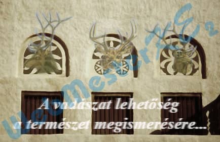 Vadászház - régi