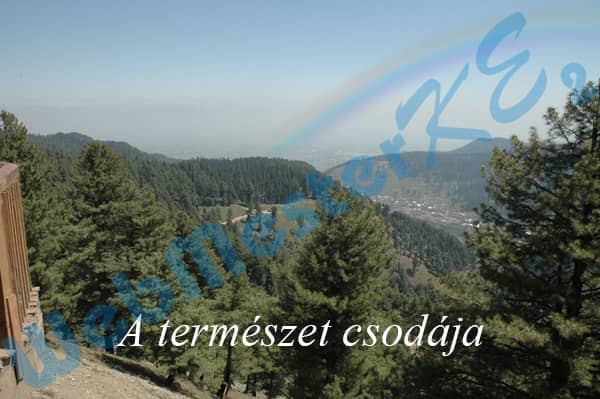 szivarvany.jpg
