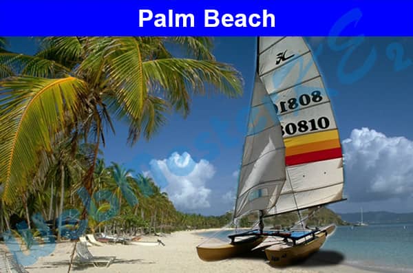 palmbeach.jpg