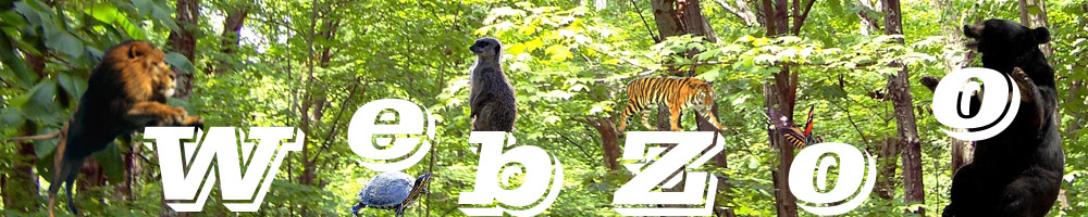 WebZoo