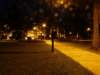 Photo Number 5