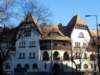 Photo Number 7