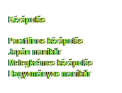 Sz�vegdoboz: K�z�pol�s
&nbsp;
Paraffinos k�z�pol�s
Jap�n manik�r
Melegkr�mes k�z�pol�s
Hagyom�nyos manik�r
