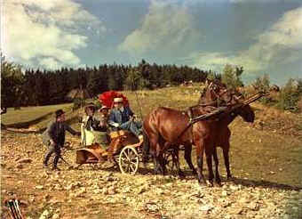 Szent Pter esernyje