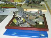 ck_acr_35