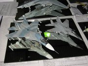 ck_acr_78
