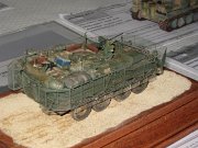 ck_afv_31