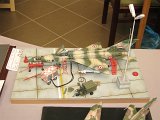 acr_25