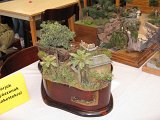 IMG_3881