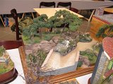 IMG_3883