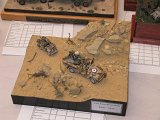 IMG_3910