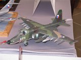 IMG_3799