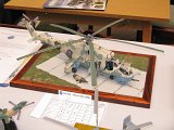 IMG_3805