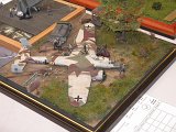 IMG_3807