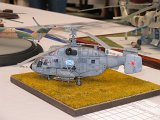 IMG_3922