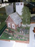 IMG_3981