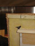 wp2009_149
